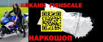 крисы Славгород