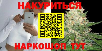 крисы Славгород