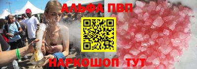крисы Славгород
